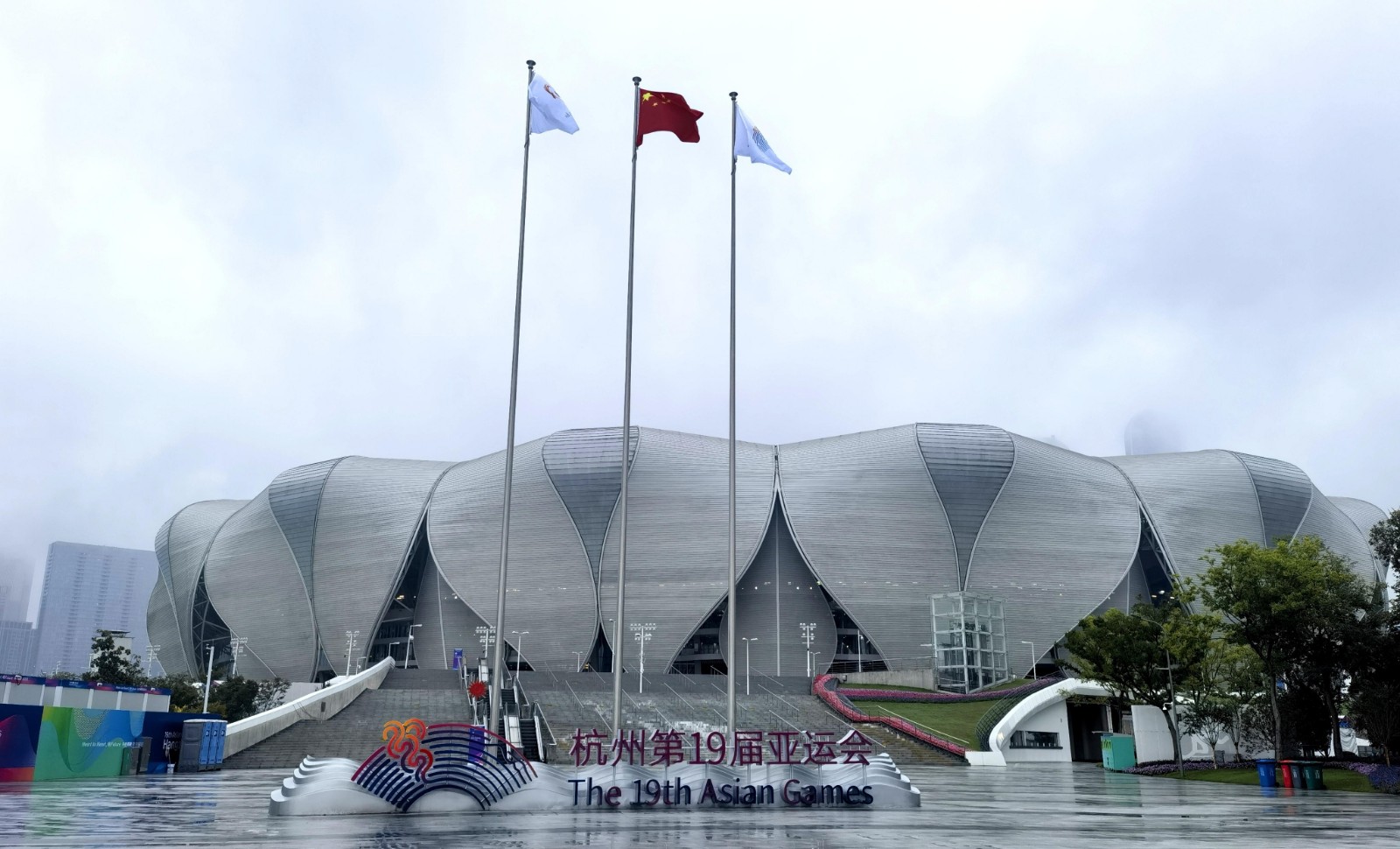 大莲花图.jpg